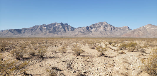 I learned about hiking from that...